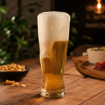 Jogo de 6 Copos de Cerveja Catarinense de Cristal 200ml - Bohemia